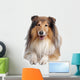Rough Collie Wall Decal