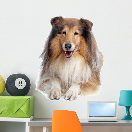 Rough Collie Wall Decal