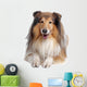 Rough Collie Wall Decal
