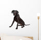 Great Dane
