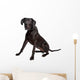Great Dane