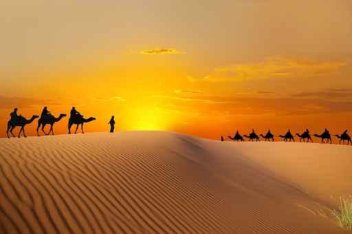 Travel with Camel Wall Decal Design 1