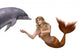 Mermaid Greets Dolphin Wall Decal