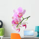 Orchid Wall Mural