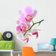 Orchid Wall Mural