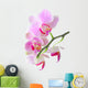 Orchid Wall Mural