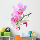 Orchid Wall Mural