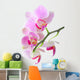 Orchid Wall Mural
