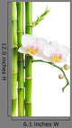 Orchid Wall Decal