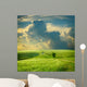 Summer Landscape with Green