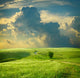 Summer Landscape with Green
