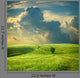 Summer Landscape with Green