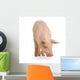 Cochon Wall Decal Design 1