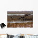 Canadian Geese Landing Wall Mural