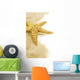 Starfish on the Sand Wall Decal