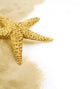 Starfish on the Sand Wall Decal