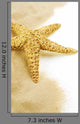 Starfish on the Sand Wall Decal