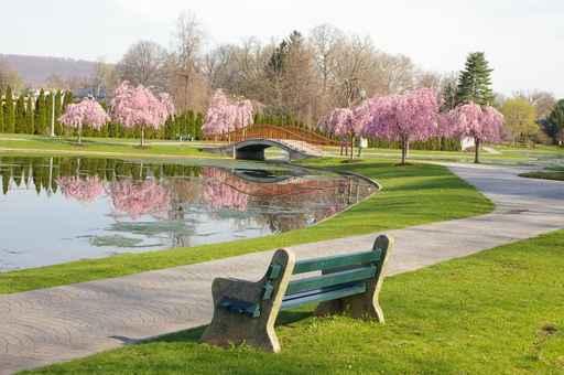 Springtime Park Wall Decal