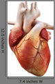 heart Wall Decal
