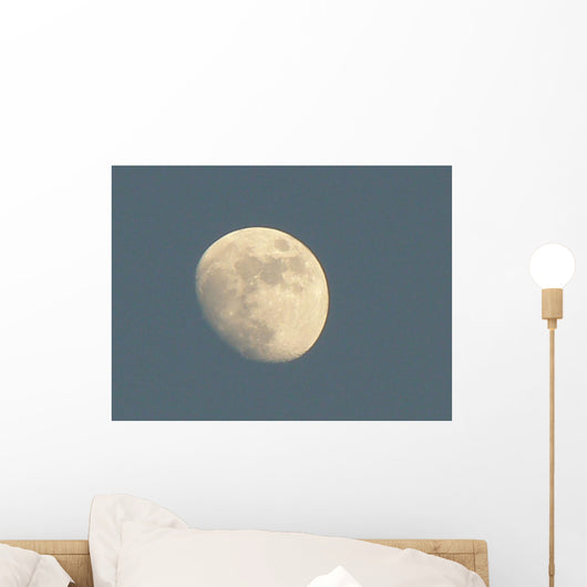 Mond