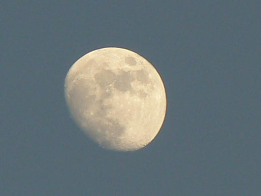 Mond