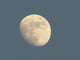 Mond