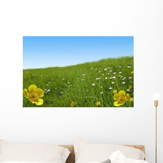 Bouton D 39 or Wall Decal