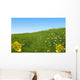 Bouton D 39 or Wall Decal