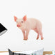 Pig Wall Mural