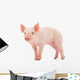 Pig Wall Mural