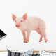 Pig Wall Mural