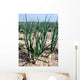 Onions White Wall Decal