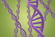 Purple DNA Helices on a Green Background Wall Mural