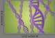 Purple DNA Helices on a Green Background Wall Mural