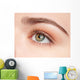 Close-up Eye Beauty Young