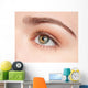 Close-up Eye Beauty Young