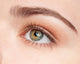 Close-up Eye Beauty Young