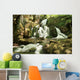 Cascadas Wall Mural