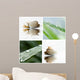 Composition Zen