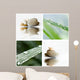 Composition Zen