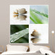 Composition Zen