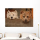 westie and cairn terriers Wall Mural