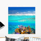 Mayan Riviera Coral Reef