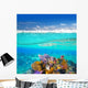 Mayan Riviera Coral Reef