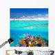 Mayan Riviera Coral Reef
