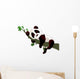 Panda sleeping on a branch Wall Decal