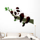 Panda sleeping on a branch Wall Decal