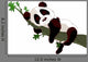 Panda sleeping on a branch Wall Decal