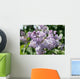 Lilacs 2