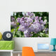 Lilacs 2
